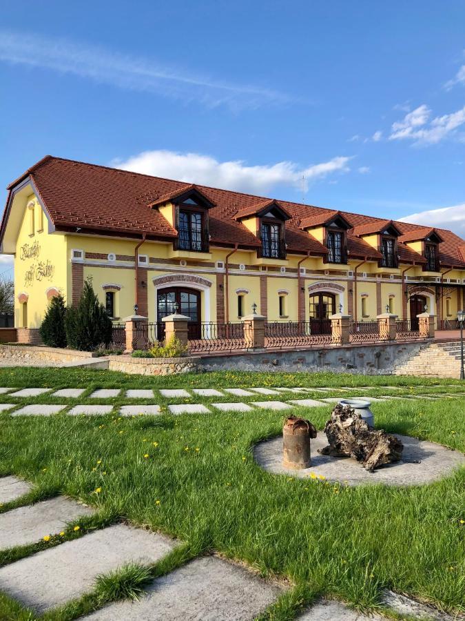 Kastely Grof Zichy Hotel Haniska Luaran gambar