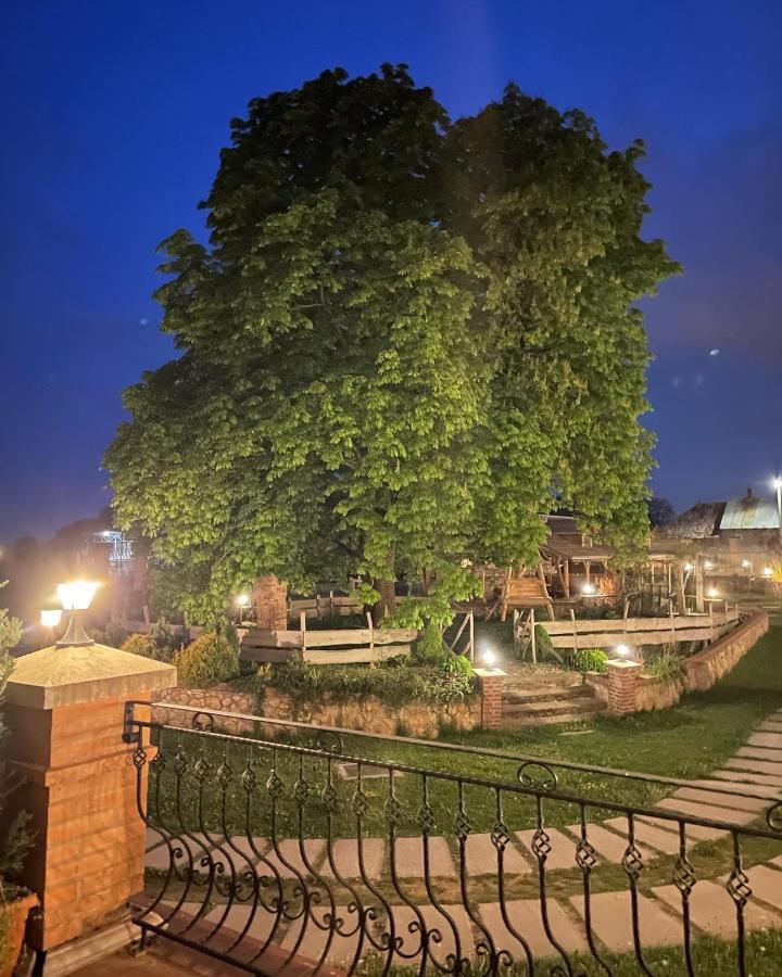 Kastely Grof Zichy Hotel Haniska Luaran gambar